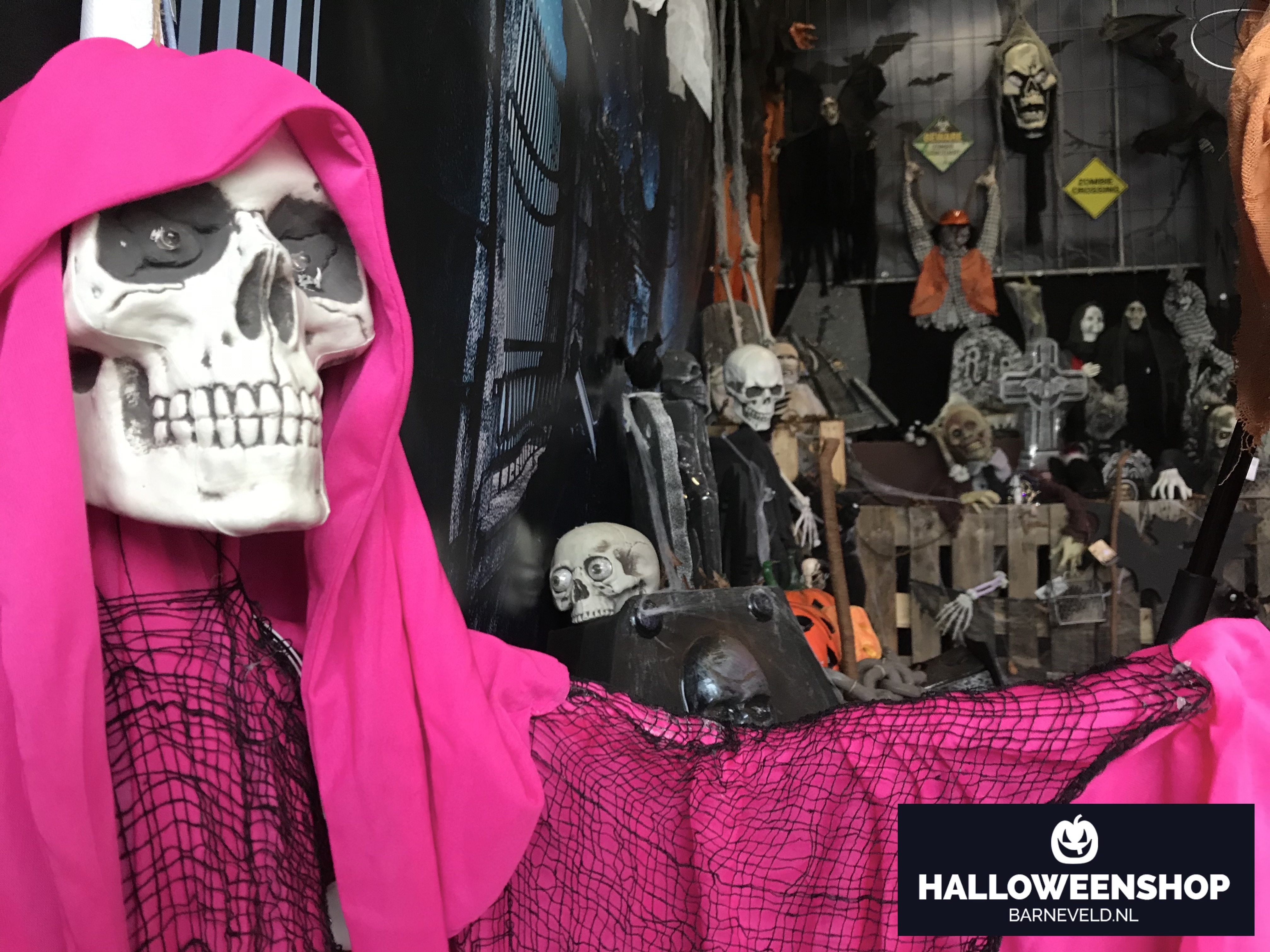 Halloween showroom 2019 - Skelet roze