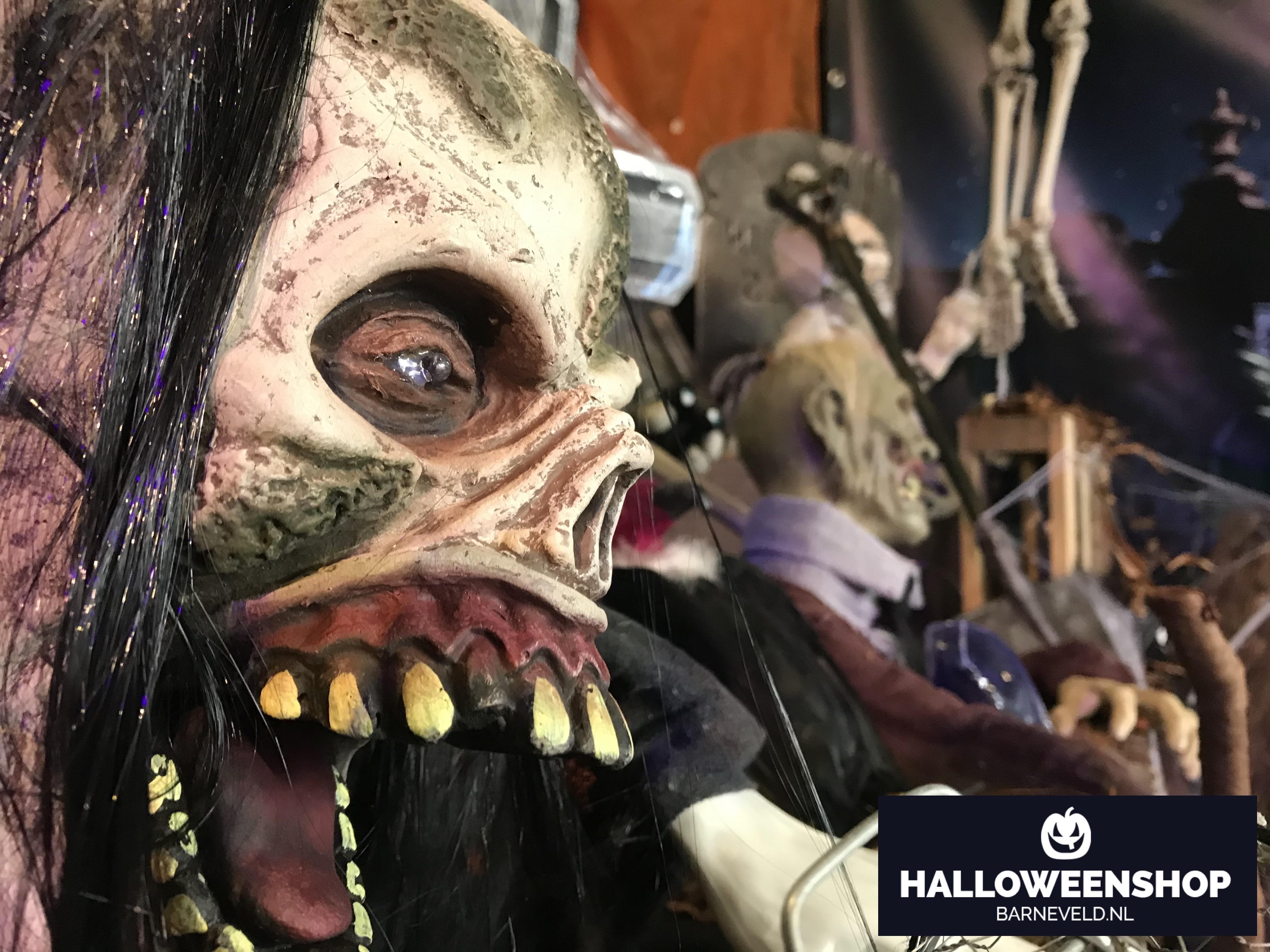 Halloween Showroom 2019 - Zombie